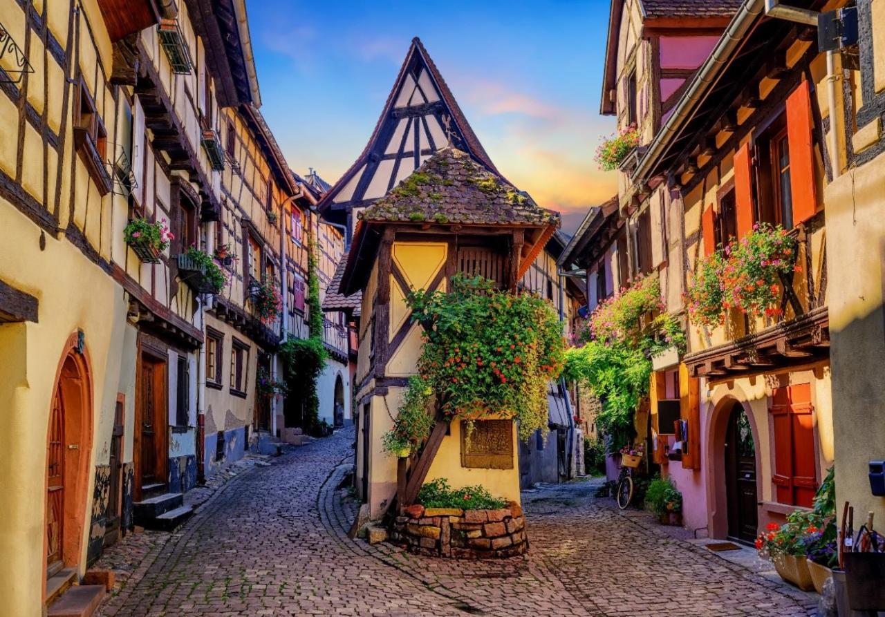 Aparthotel Adagio Bale Mulhouse Aeroport Blotzheim Ngoại thất bức ảnh